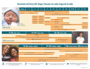 Lifetime Immunization Flyer